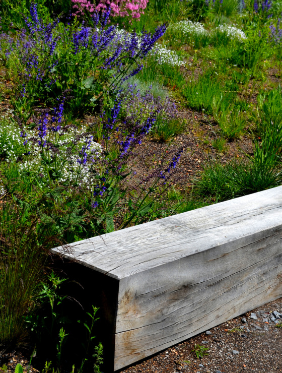 retaining walls and terraces with wooden bench beam one piece. oak rustic furniture. perennial flowering flower beds with sage, phlox divaricata 'white perfume', festuca glauca, salvia, faassenii, silene, coronaria, dioica, nepeta, mussinii, lychnis, pratensis